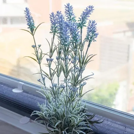 Apartamento Strandhuus 10 - West Baltrum