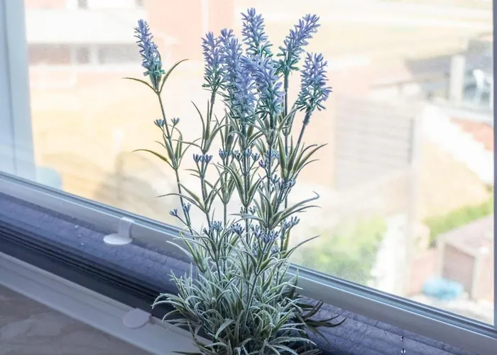 아파트 Strandhuus 10 - West 발트룸